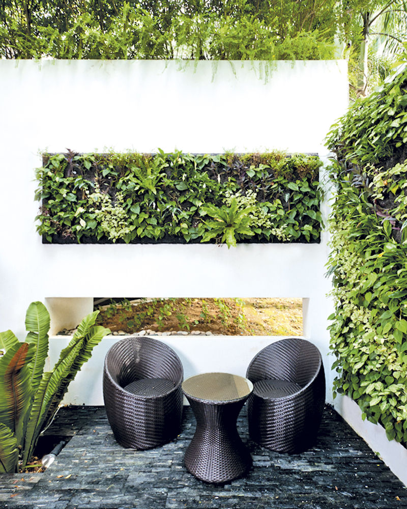 Vertical gardening in Singapore Green options for a balcony or small